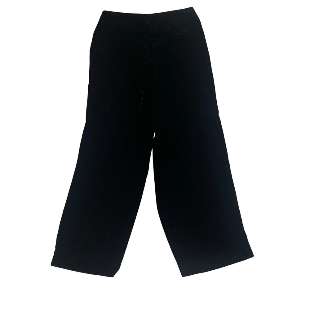 The Limited Vintage Silk Blend Velvet Wide Leg Pants Sz 8 Black Side Zip Soft